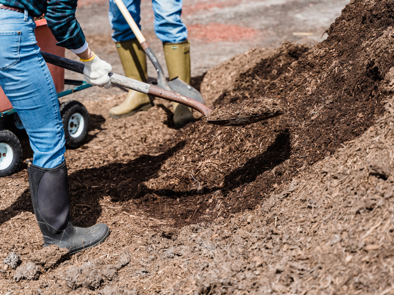 man shoveling dirt in yard